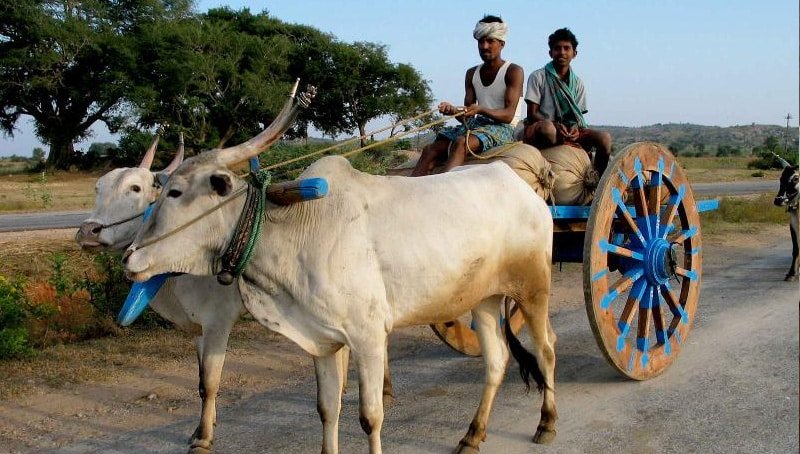 গাড়োয়ান বাংলাদেশের পেশাজীবী