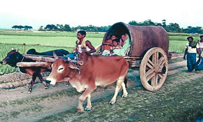 গাড়োয়ান বাংলাদেশের পেশাজীবী