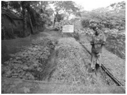গ্রামের প্রেক্ষাপট আত্ম-কর্মসংস্থান: গ্রামের প্রেক্ষাপট