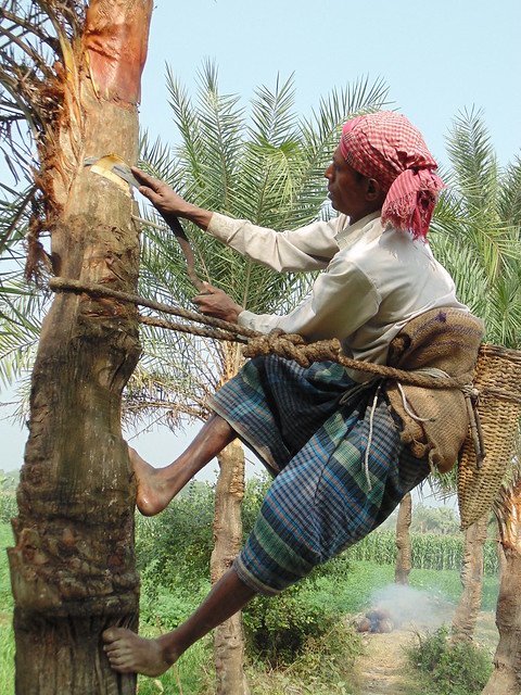 গাছি বাংলাদেশের পেশাজীবী