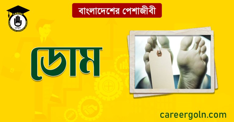 ডোম বাংলাদেশের পেশাজীবী