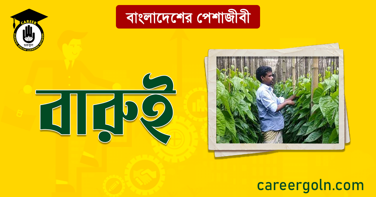 বারুই বাংলাদেশের পেশাজীবী