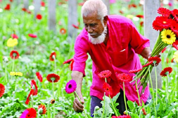 মালিনী বাংলাদেশের পেশাজীবী 3 মালিনী বাংলাদেশের পেশাজীবী