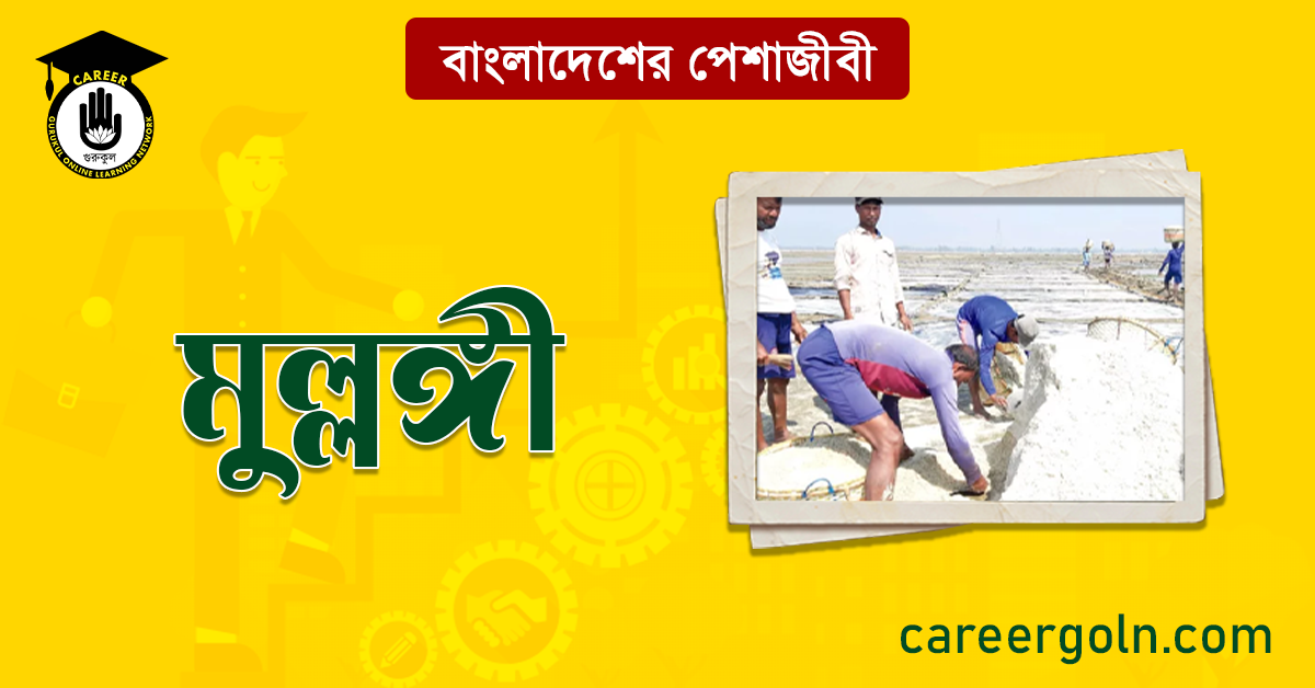 মুল্লঙ্গী বাংলাদেশের পেশাজীবী