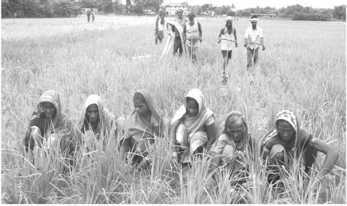 আত্মকর্মসংস্থানমূলক কার্যক্রমের কয়েকটি ক্ষেত্র 2 আত্মকর্মসংস্থানমূলক কার্যক্রমের কয়েকটি ক্ষেত্র