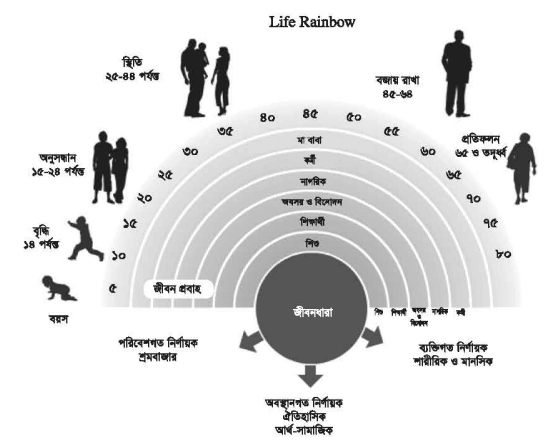 ক্যারিয়ারের বিকাশ 3 ক্যারিয়ারের বিকাশ
