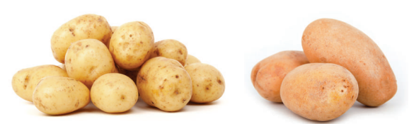 স্কিল কোর্স ১: কুকিং বা রান্না