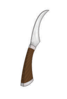 স্কিল কোর্স ২: গ্রাফটিং বা জোড়কলম 5 স্কিল কোর্স ২: গ্রাফটিং বা জোড়কলম